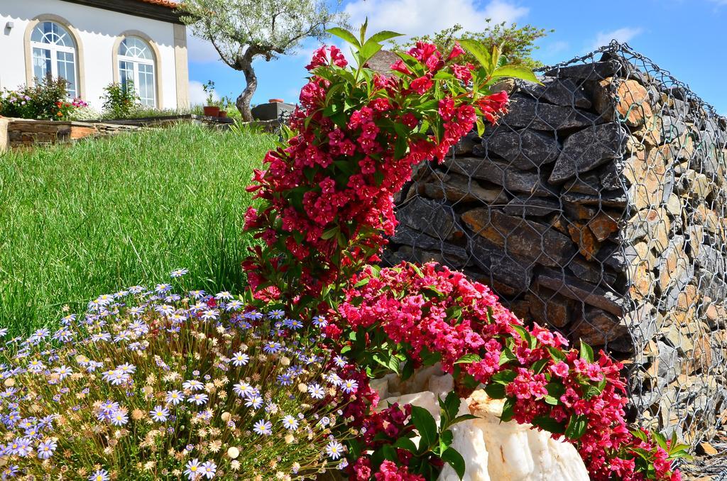 Casa De Alpajares - Guest House & Spa Freixo de Espada à Cinta Buitenkant foto